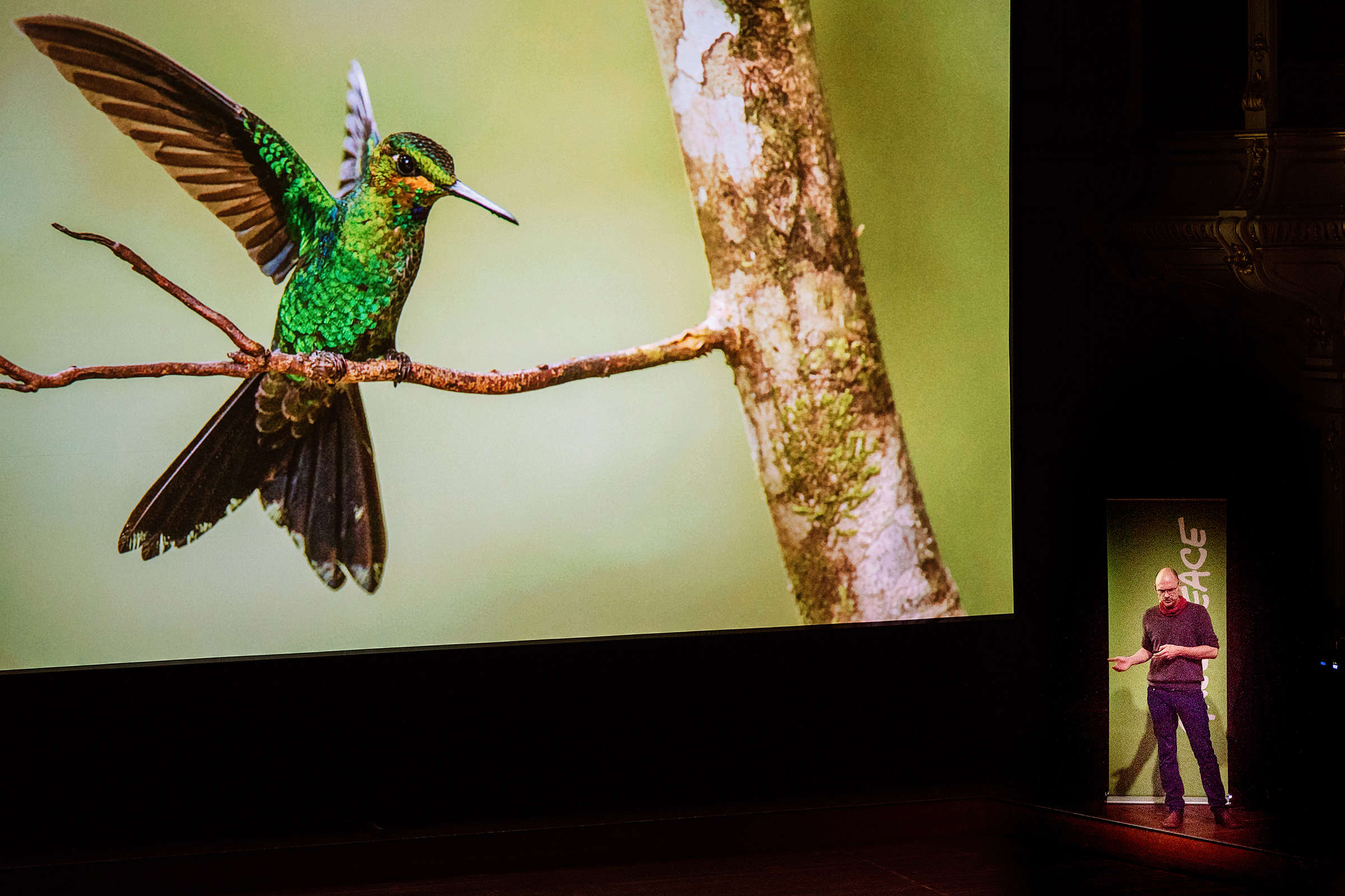 Ein Greenpeace Photograph zeigt auf der Bühne in der Laeiszhalle in Hamburg seine Bilder auf einer Leinwand, fotografiert von einem Veranstaltungsfotografen