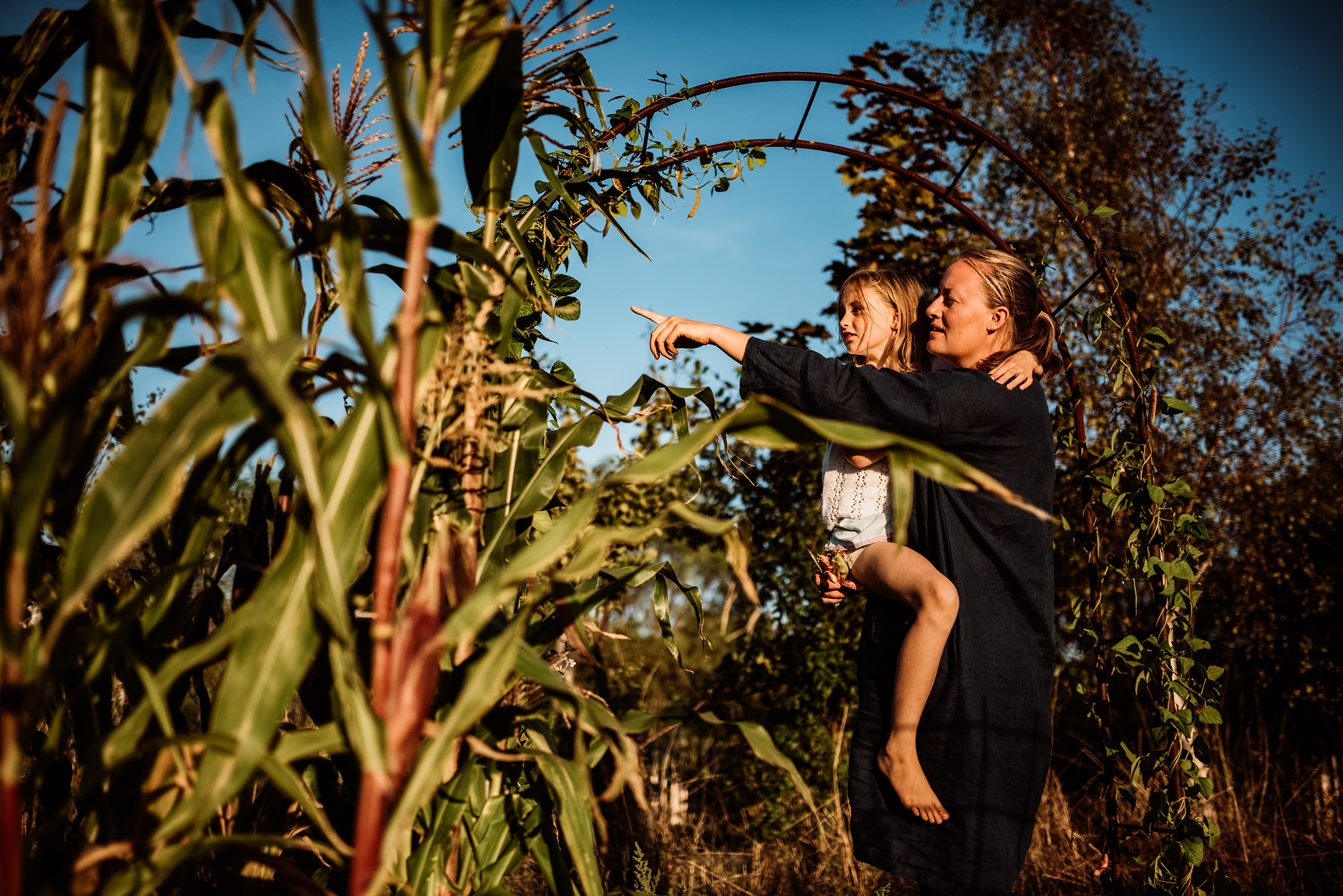 This warm documentary family photograph captures a woman holding a young girl who is pointing, both looking intently towards something amidst tall corn stalks under a clear blue sky, beautifully illustrating an authentic shared moment of discovery in a family garden.