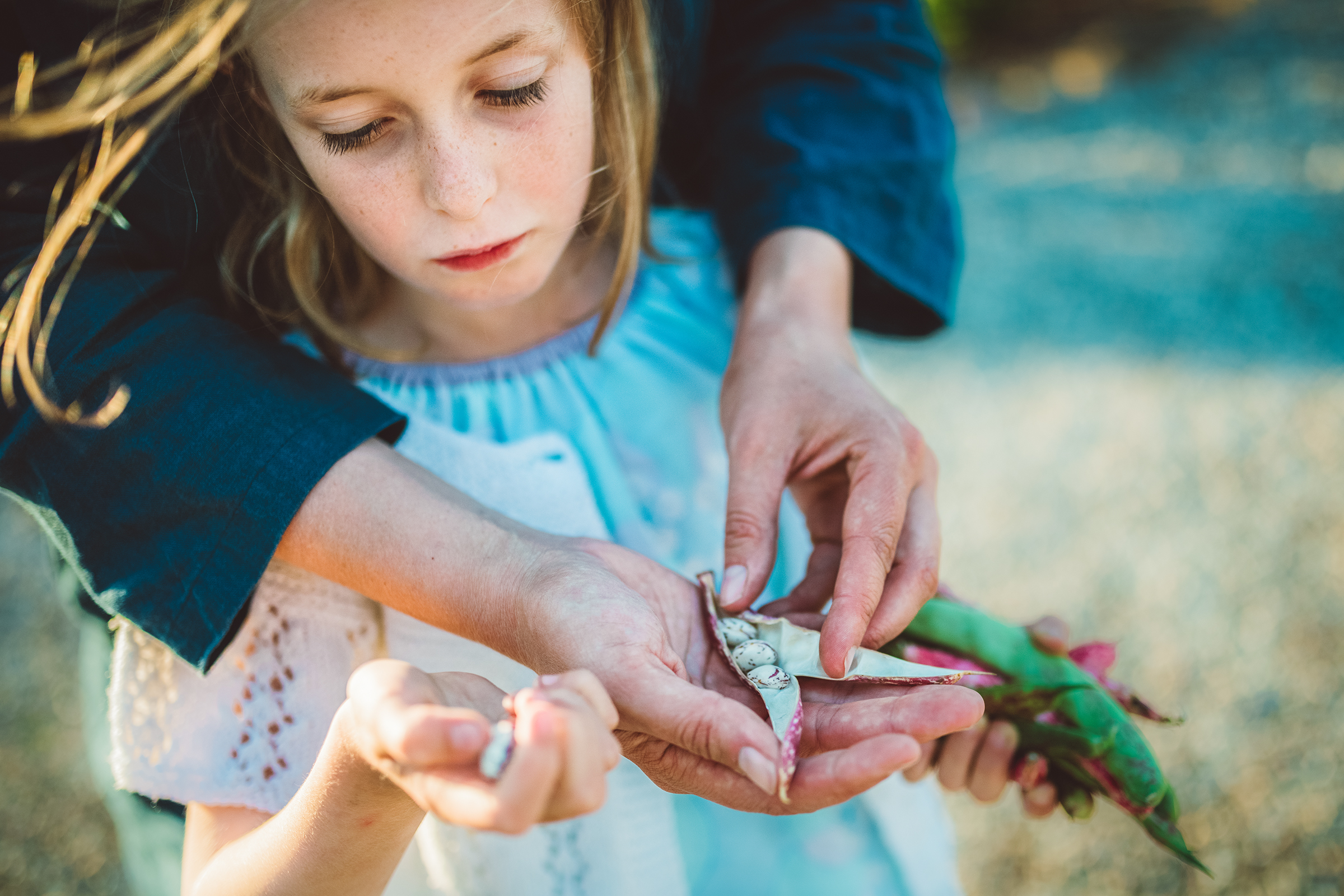 This tender documentary family photograph captures a close-up of a young girl intently examining beans in an open pod held by an adult, beautifully illustrating a shared moment of discovery and an authentic family story.